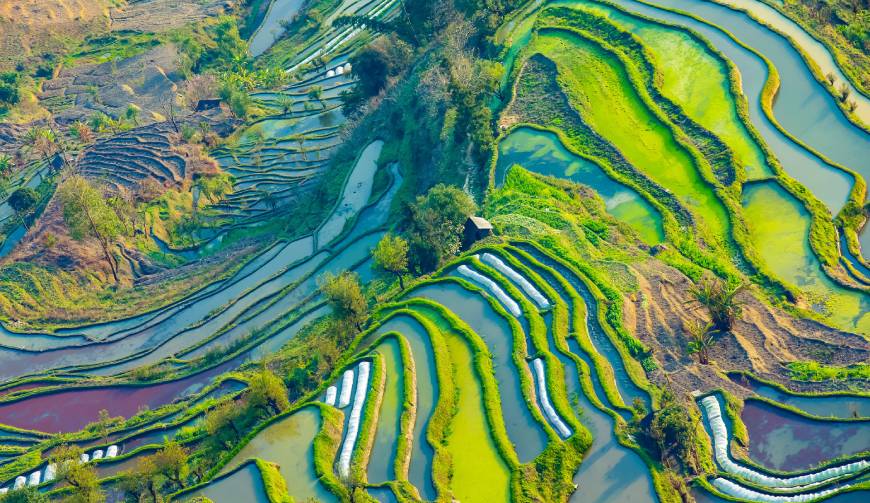 走进太和县TVC拍摄：解锁本地化场景与创意镜头的完美融合